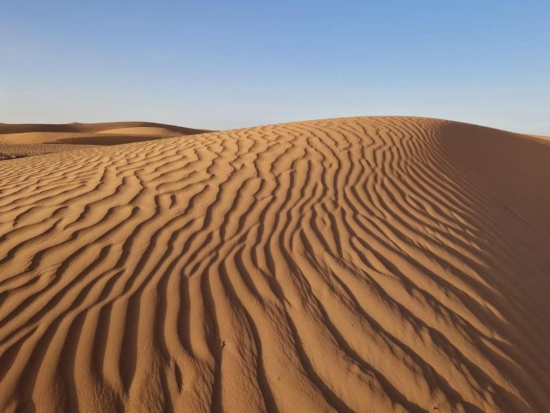 Bivouac Camel Trips Hotel Merzouga Exterior foto