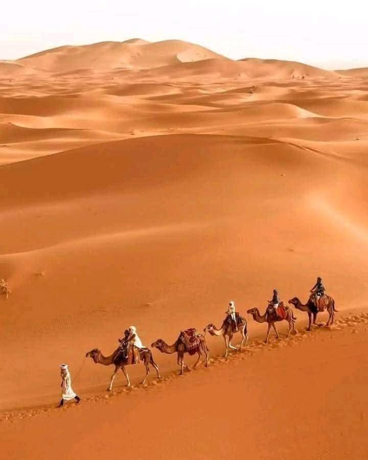Bivouac Camel Trips Hotel Merzouga Exterior foto